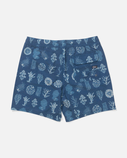 Salty Crew CREW VOLLEY - Cast Blue
