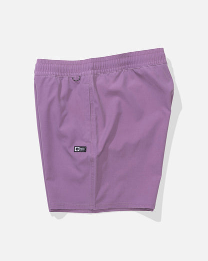 Salty Crew SEADOG VOLLEY - Grape