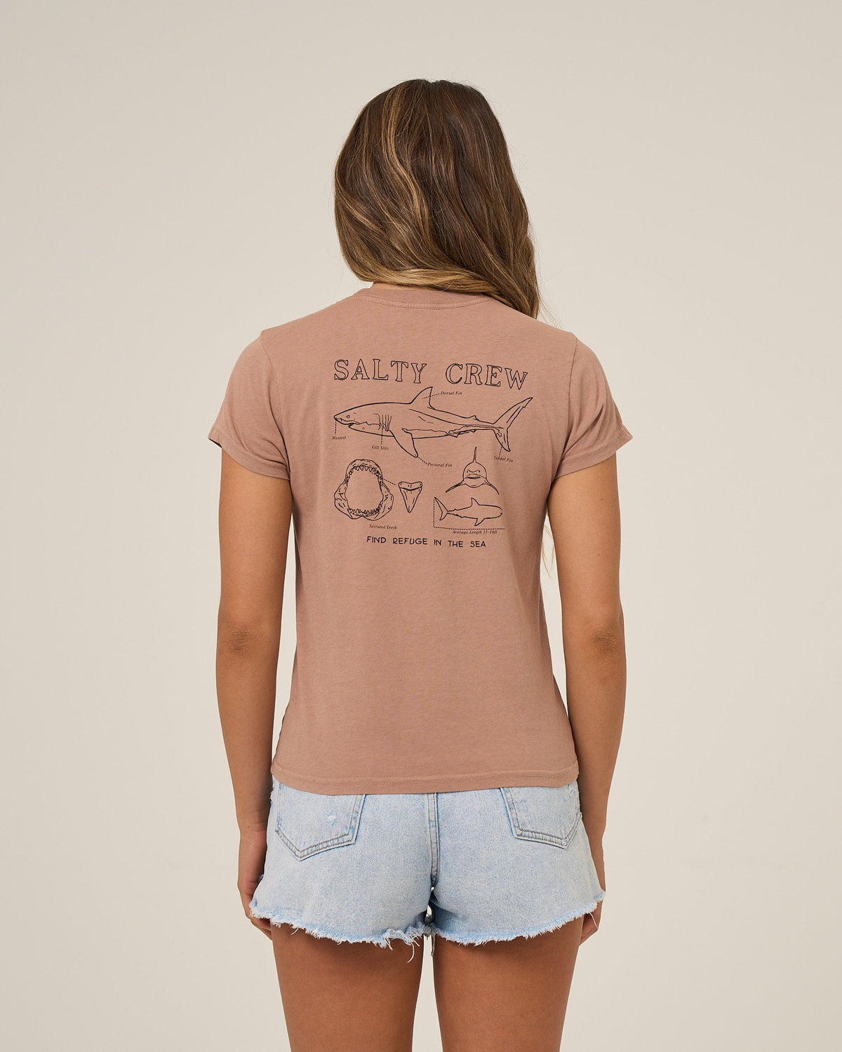Salty Crew SHARK ANATOMY MODERN TEE - Mocha
