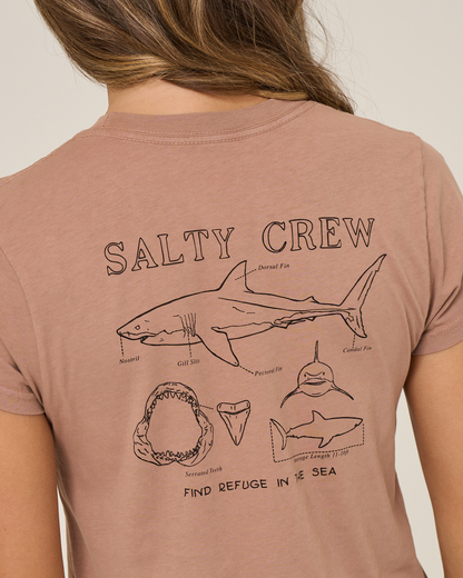 Salty Crew SHARK ANATOMY MODERN TEE - Mocha