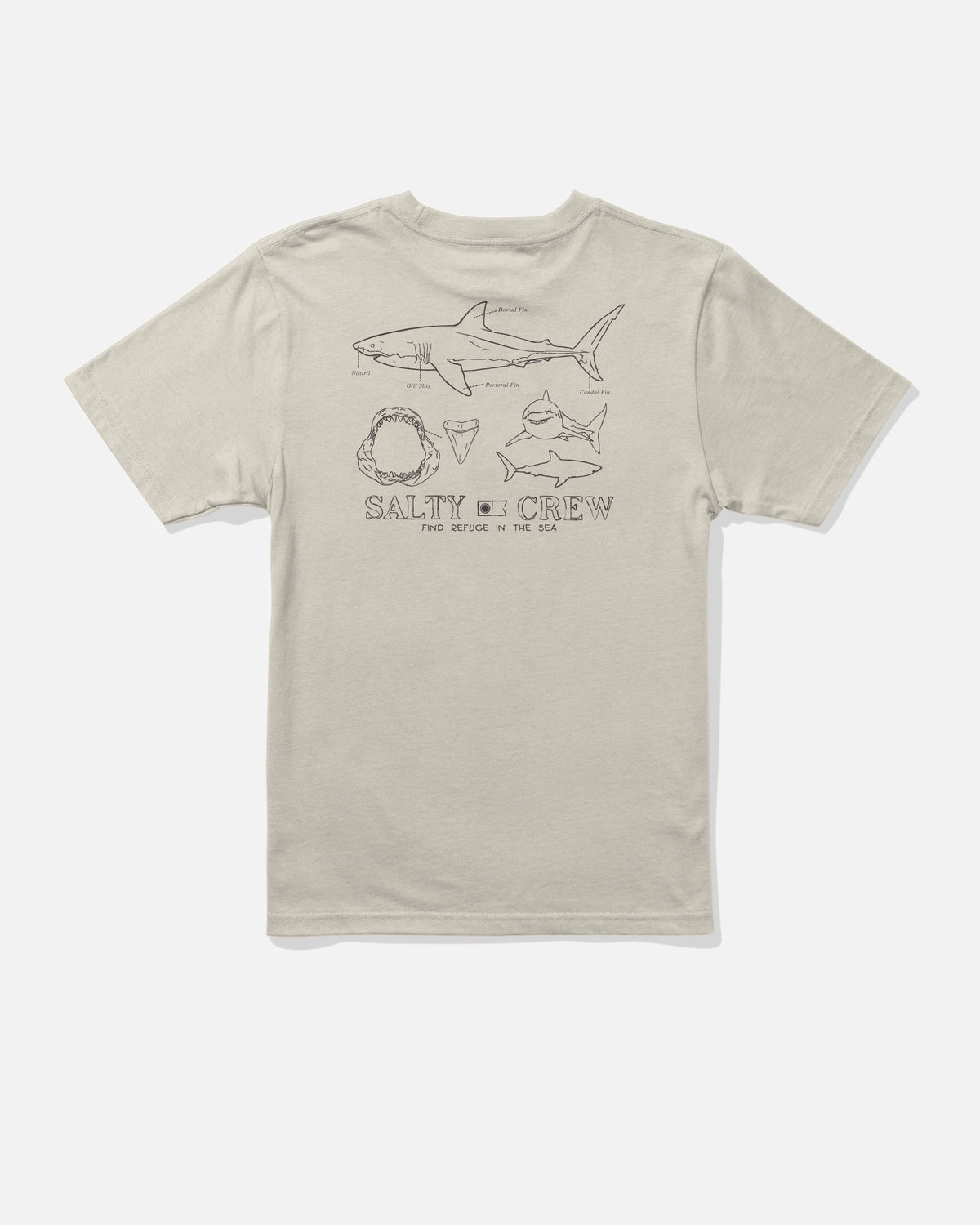 Salty Crew GREAT WHITE BOYS SS TEE - Bone