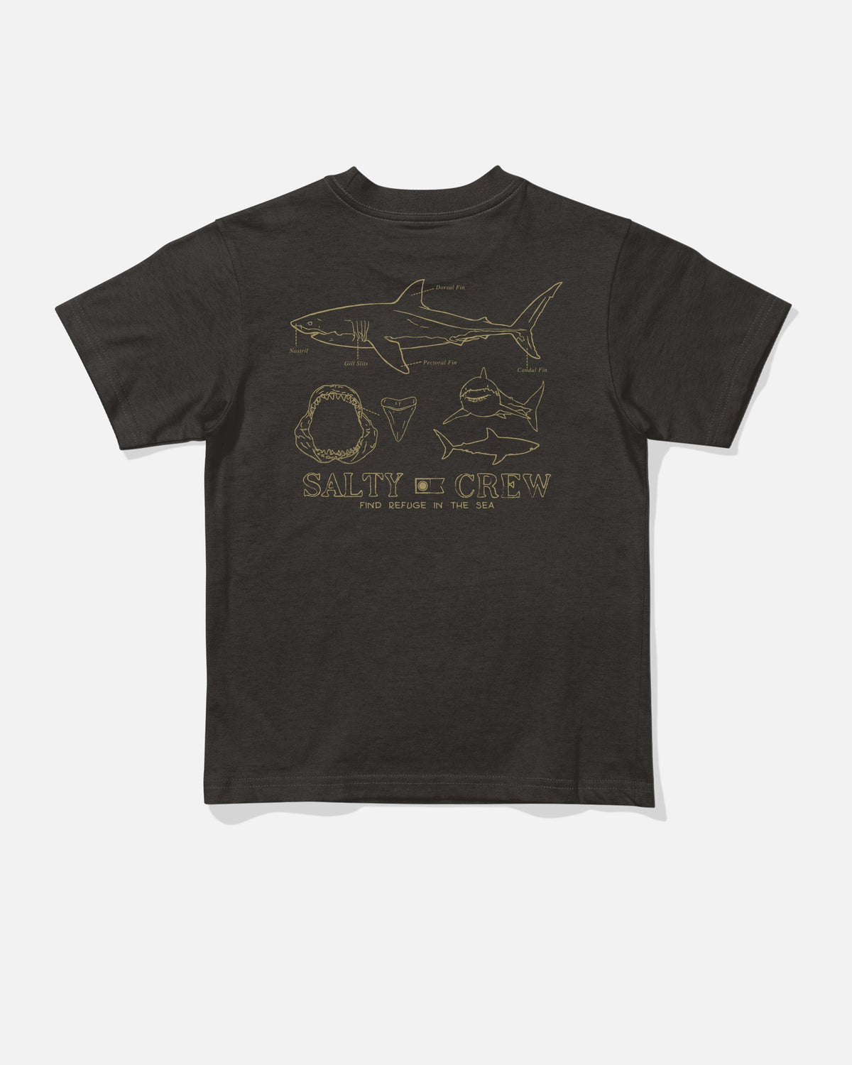 Salty Crew GREAT WHITE TDDLR SS TEE - BLACK