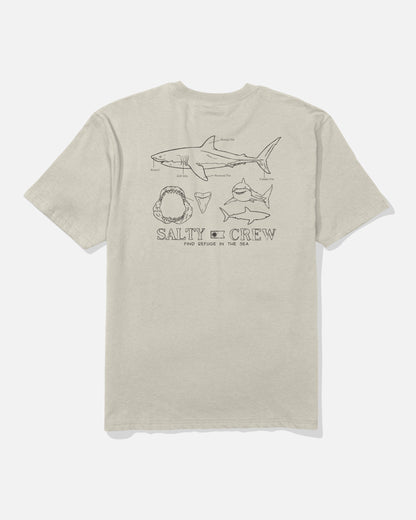 Salty Crew GREAT WHT CLASSIC SS TEE - Bone