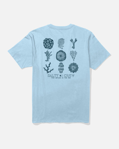 Salty Crew CORAL HEAD SS TEE - Clear Sky